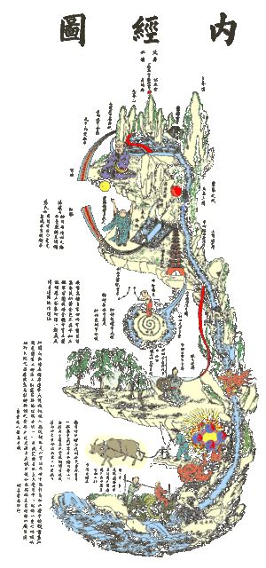 內經圖五臟六腑配對|經絡與解剖學全圖典：從肌肉、神經與骨骼讀懂《黃帝內經》，貫。